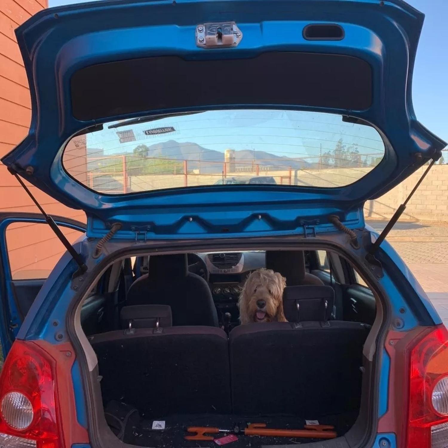 Amortiguador De Portalon Suzuki Celerio 2009 - 2018-2