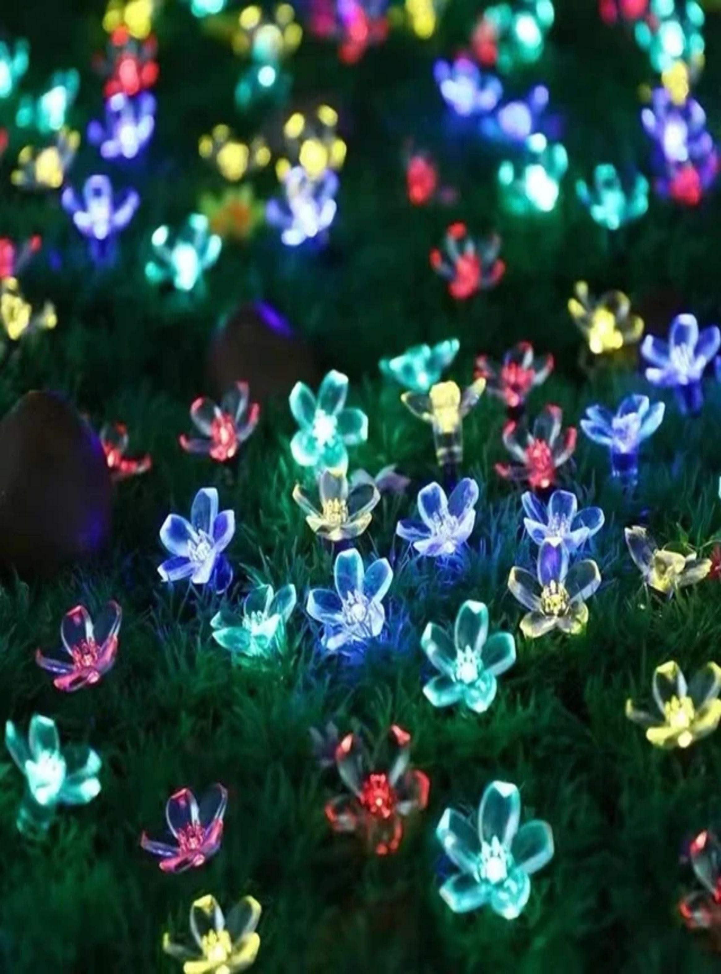 Luces LED solares de flores de colores para Navidad-3