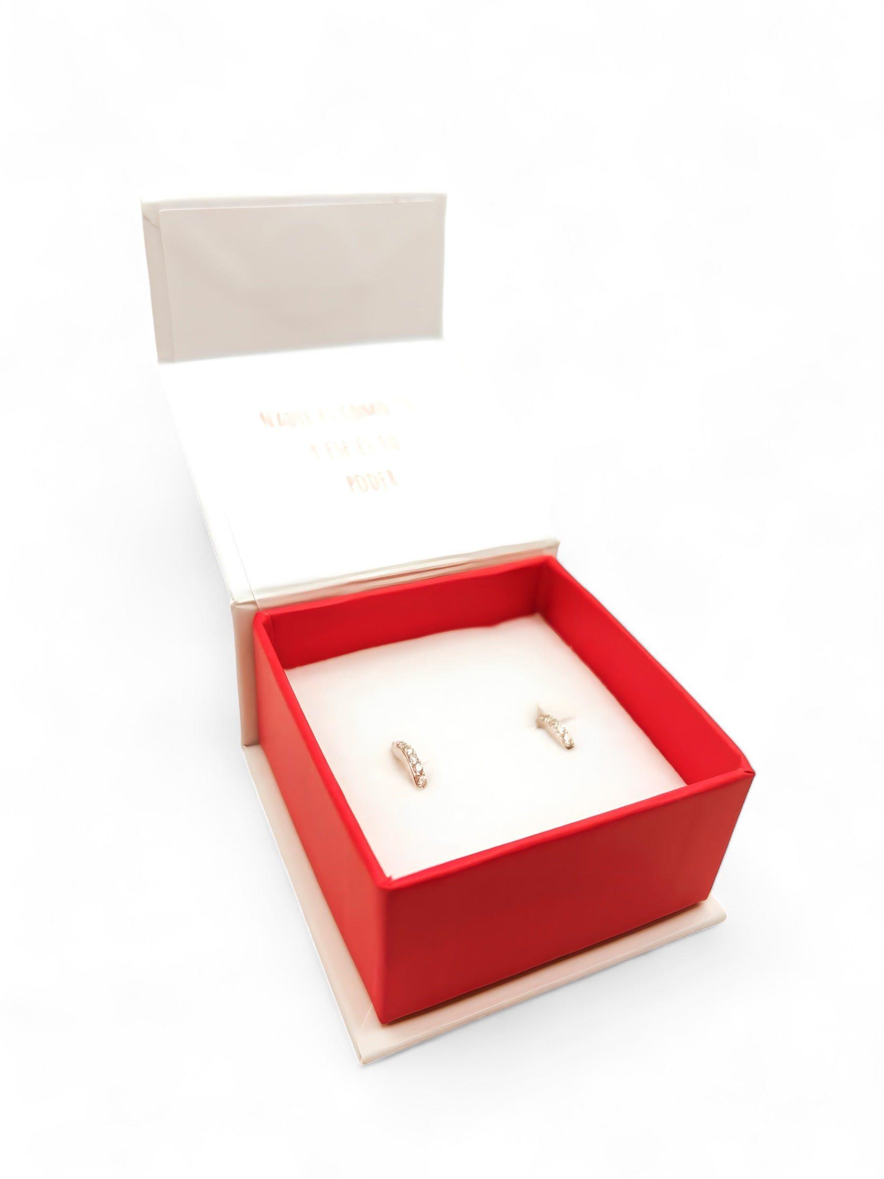 Aro Argollas con Circones de Plata 925-4