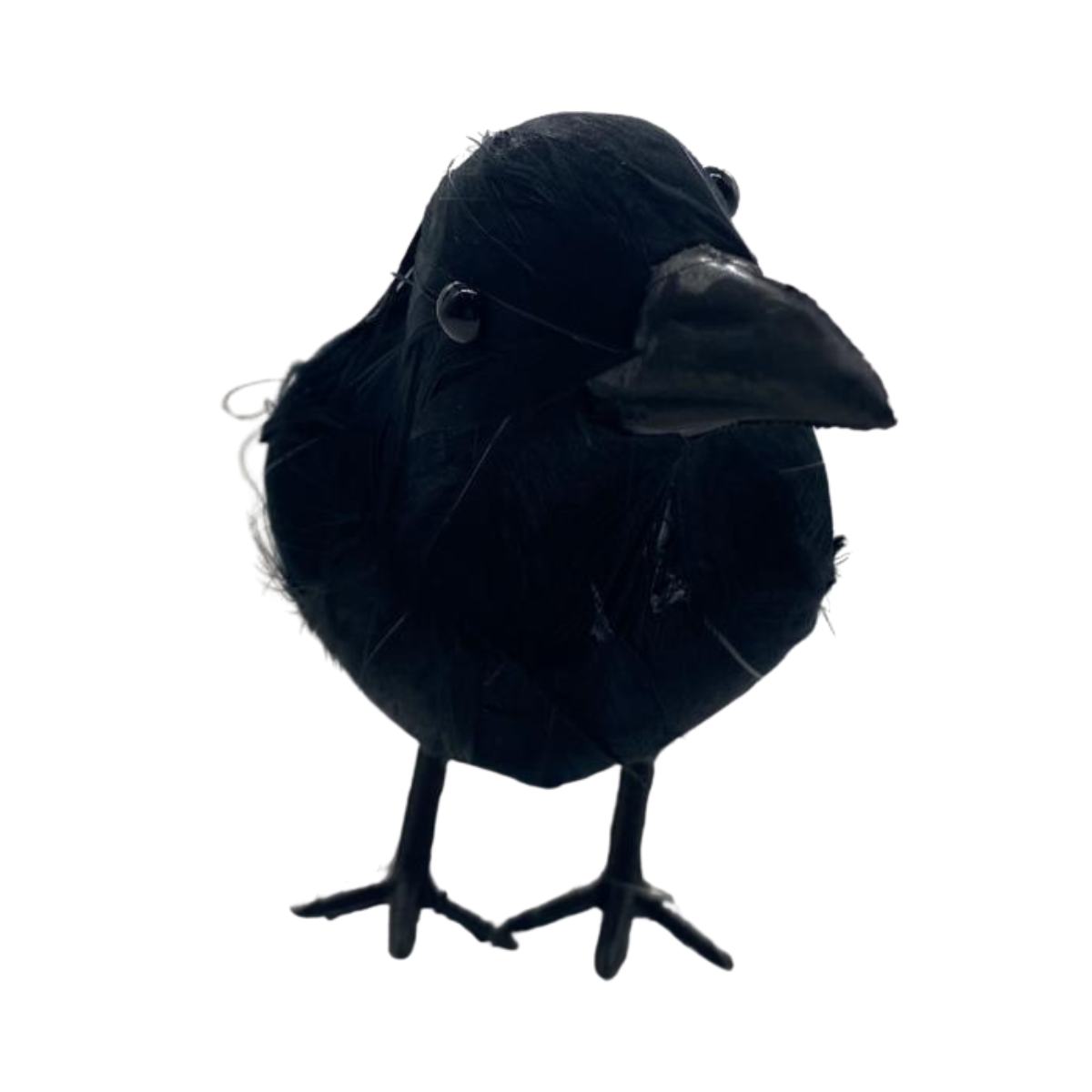 Pack 4 Cuervos Realista Emplumado Negro Halloween 2025-2