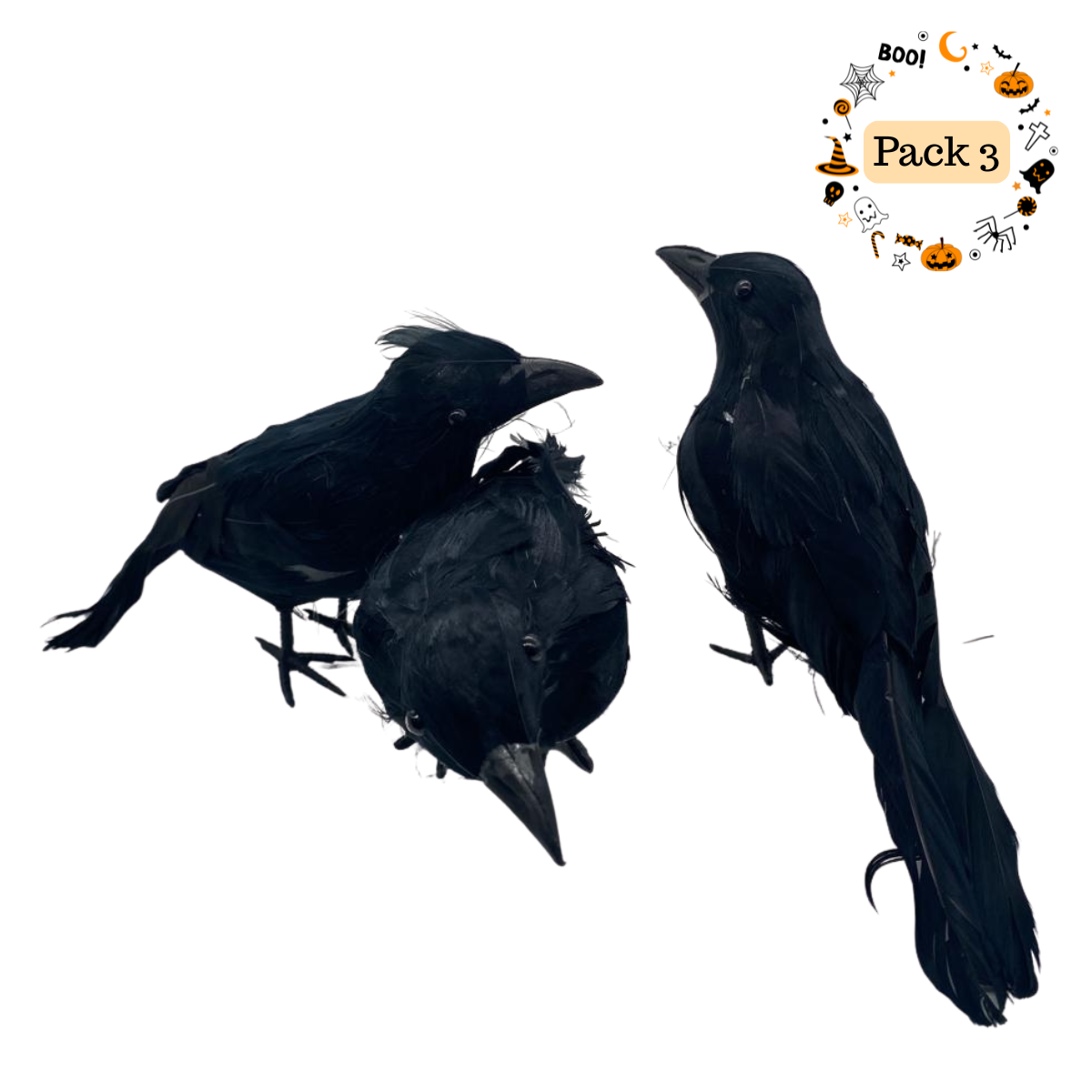Pack 3 Cuervos Realista Emplumado Negro Halloween 2025-0