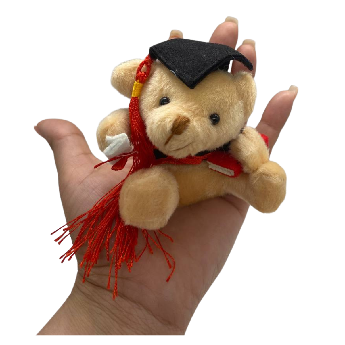 Pack 12 Ositos Surtidos Graduación Obsequio Regalo-5