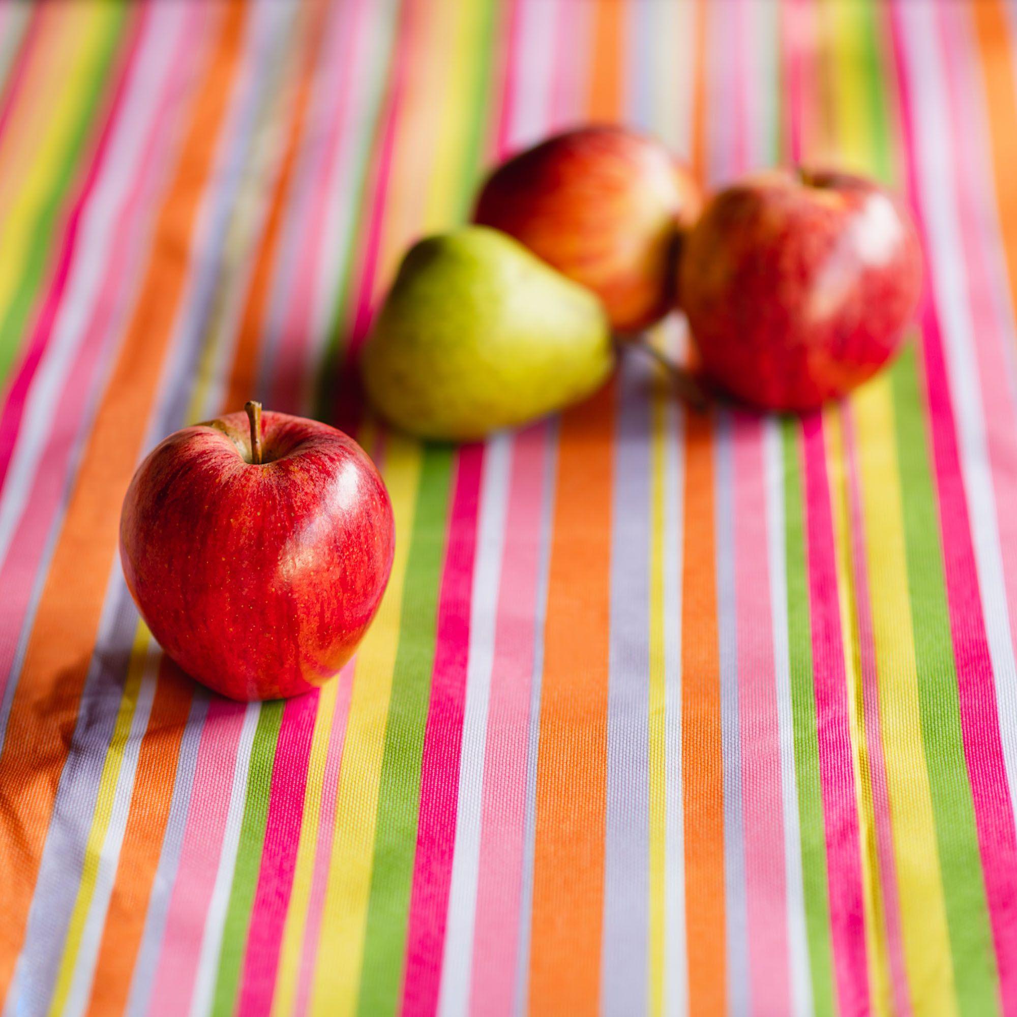 Manta Picnic Impermeable A57-3