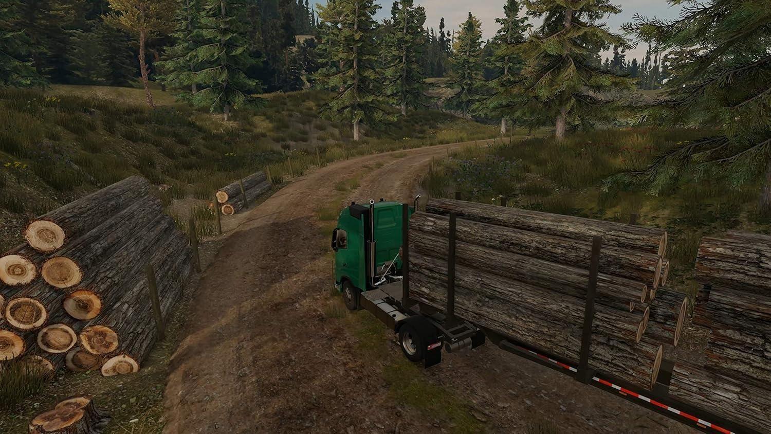 Truck Driver PS4-3