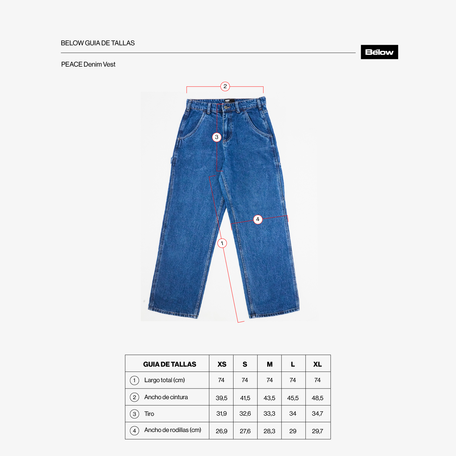 DENIM CARPENTER PANT MARTEU BLUE-2