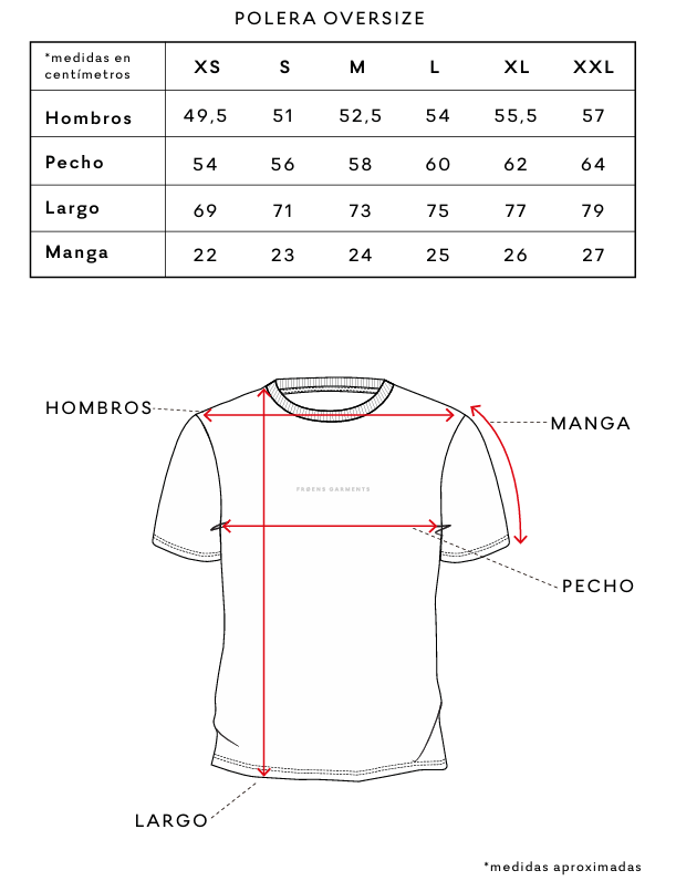 Polera hombre manga corta Oversize grafito Froens-4