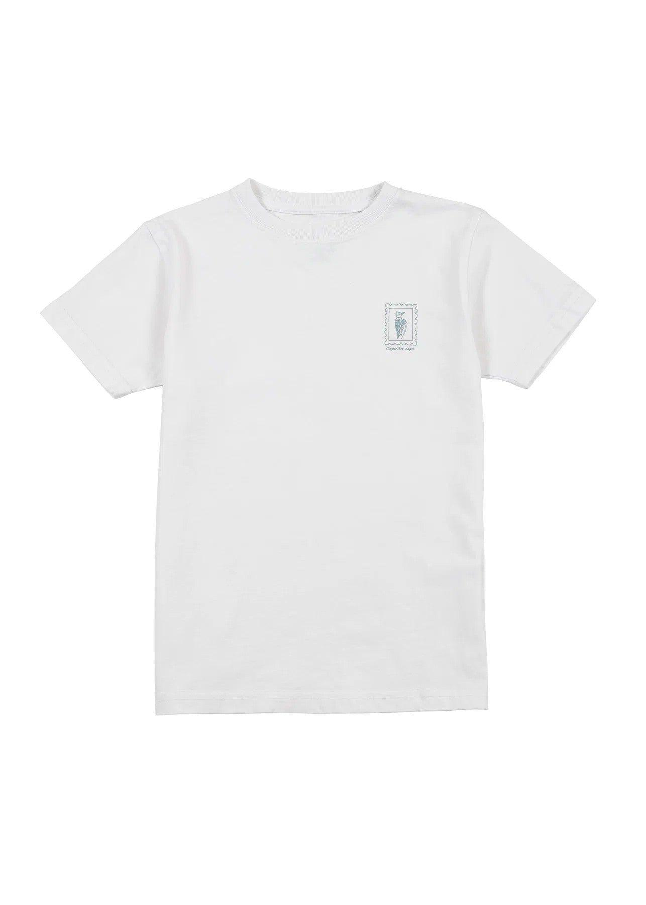 Polera manga corta niño Carpintero-4