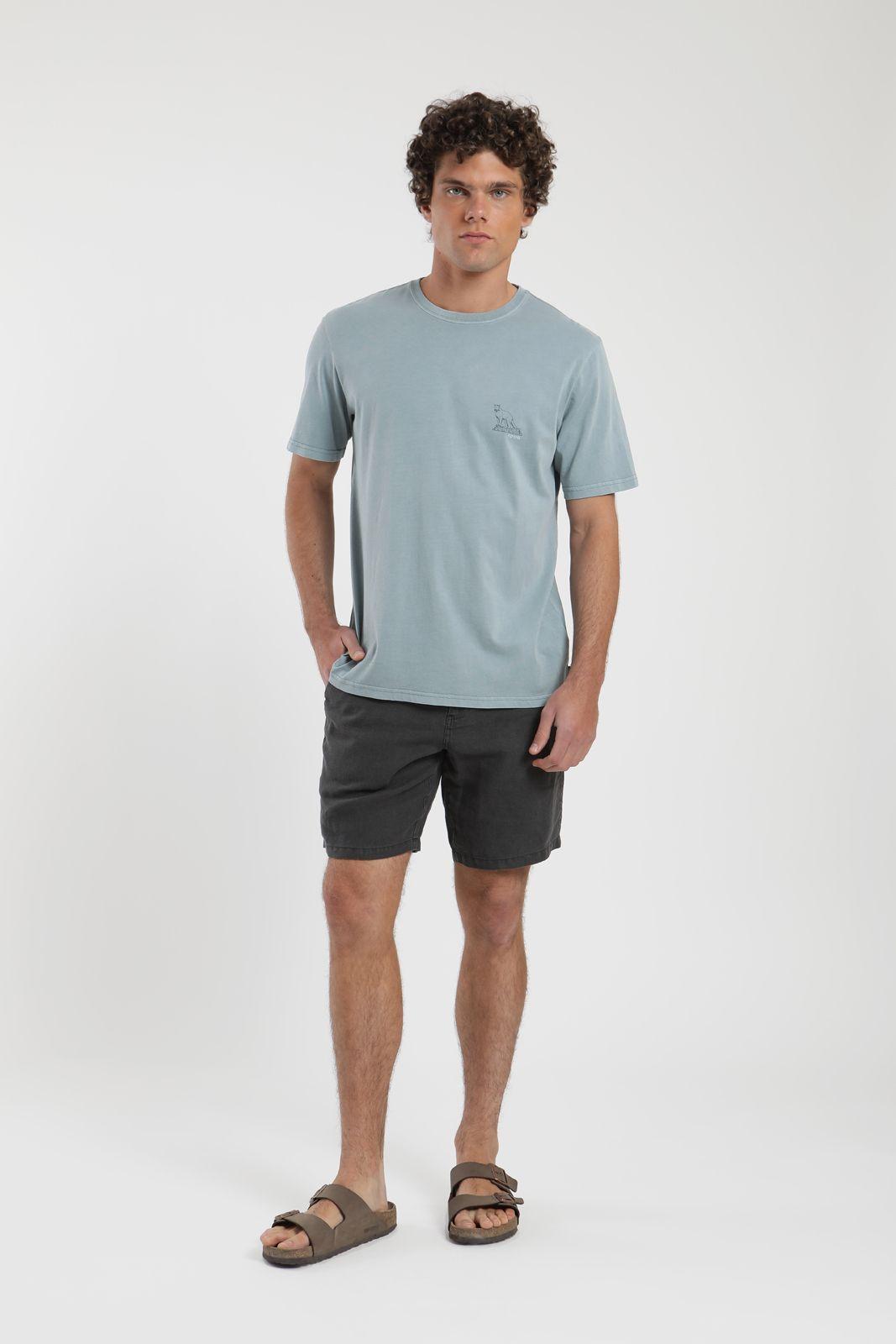 Polera hombre manga corta Puma celeste Algodón orgánico Froens-3