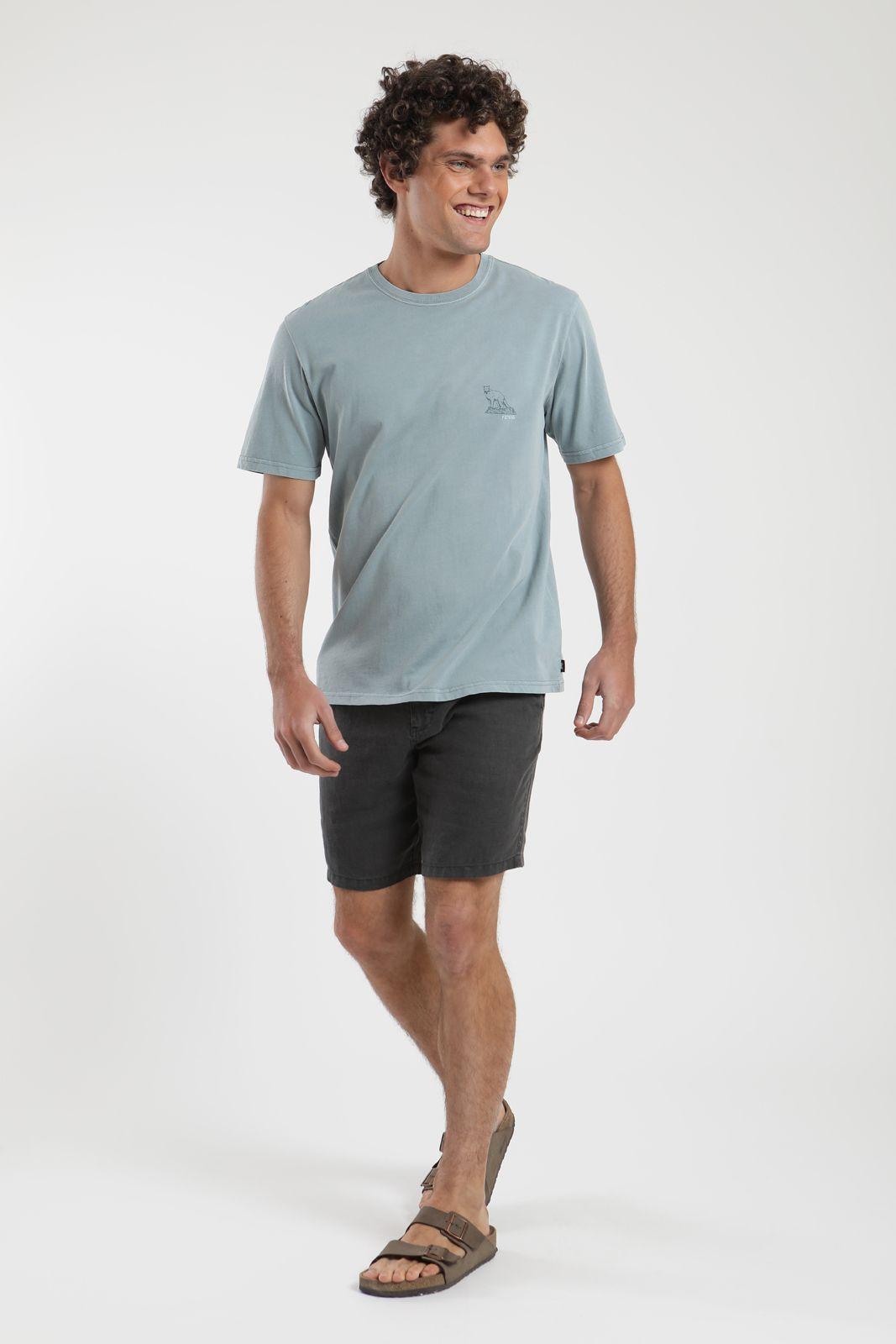 Polera hombre manga corta Puma celeste Algodón orgánico Froens-4