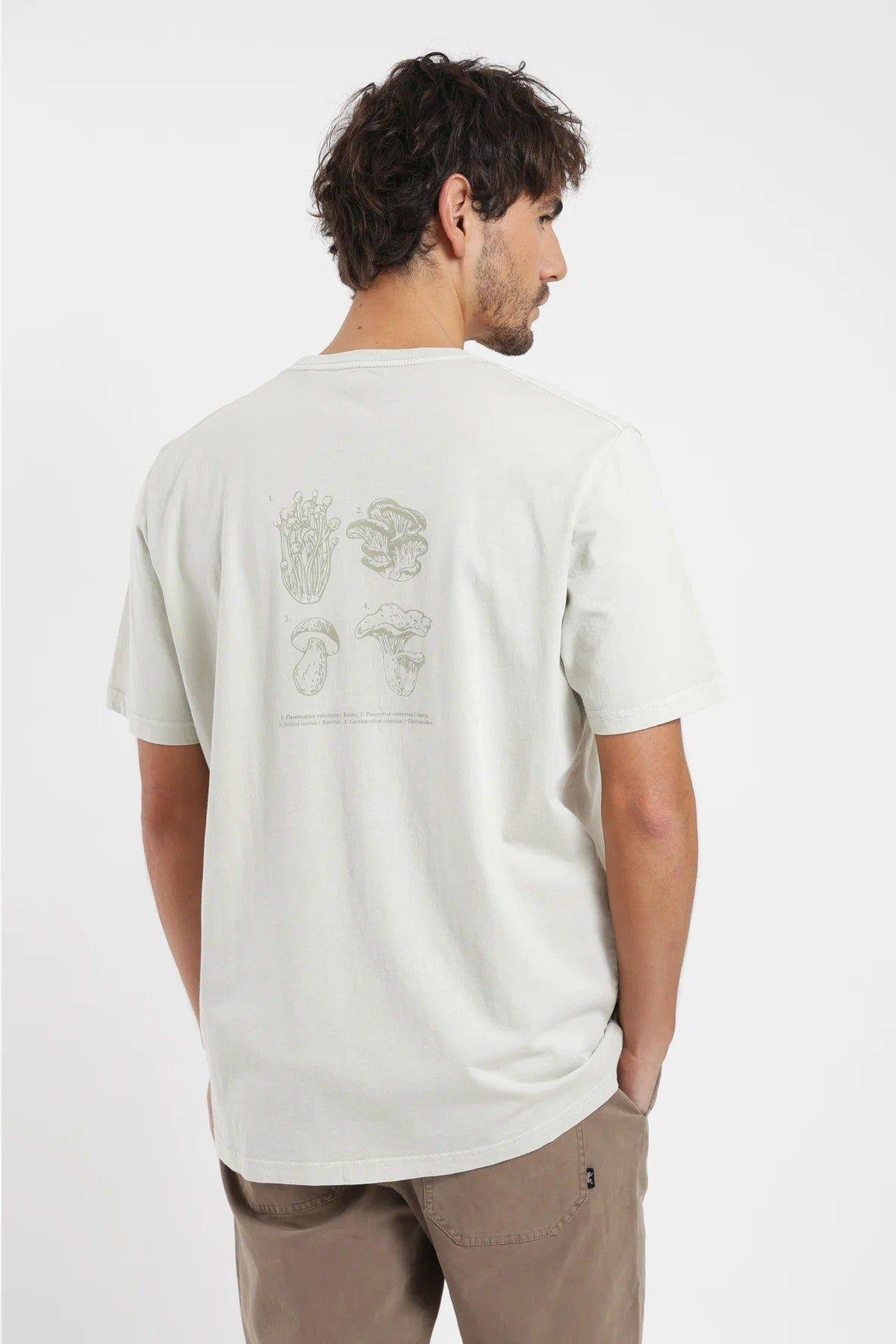 Polera manga corta hombre Fungi-2