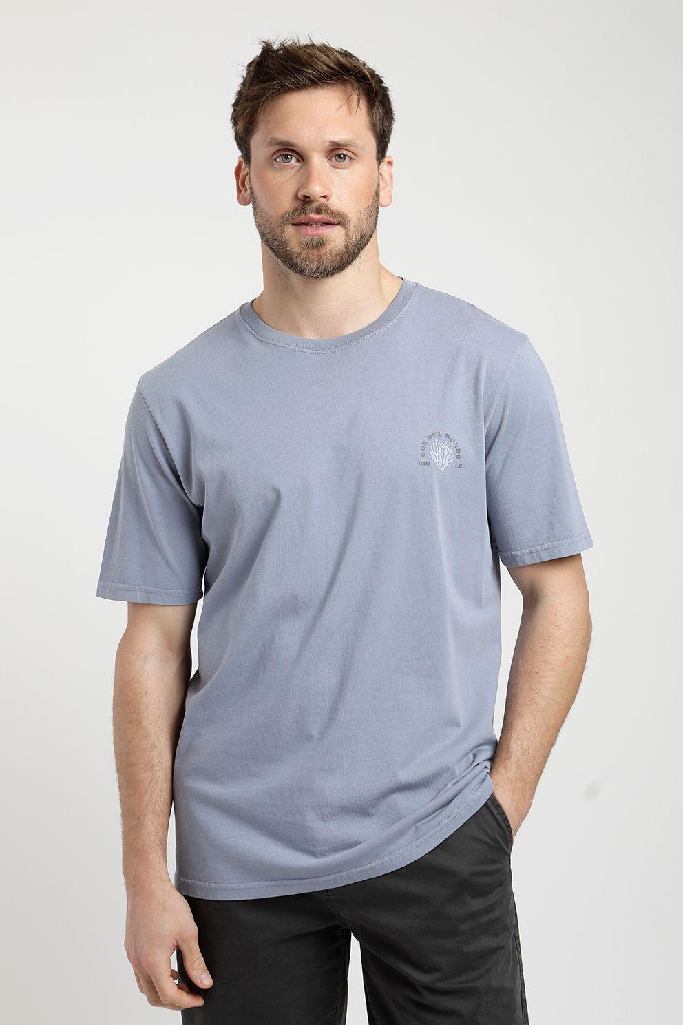 Polera Hombre Sur -2