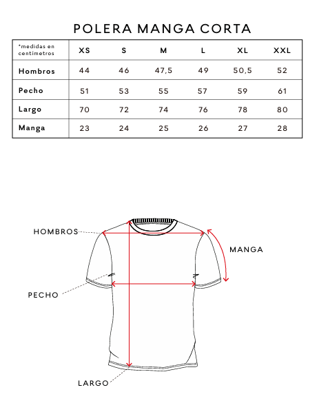 Polera Manga Corta Logo Hombre Froens-4