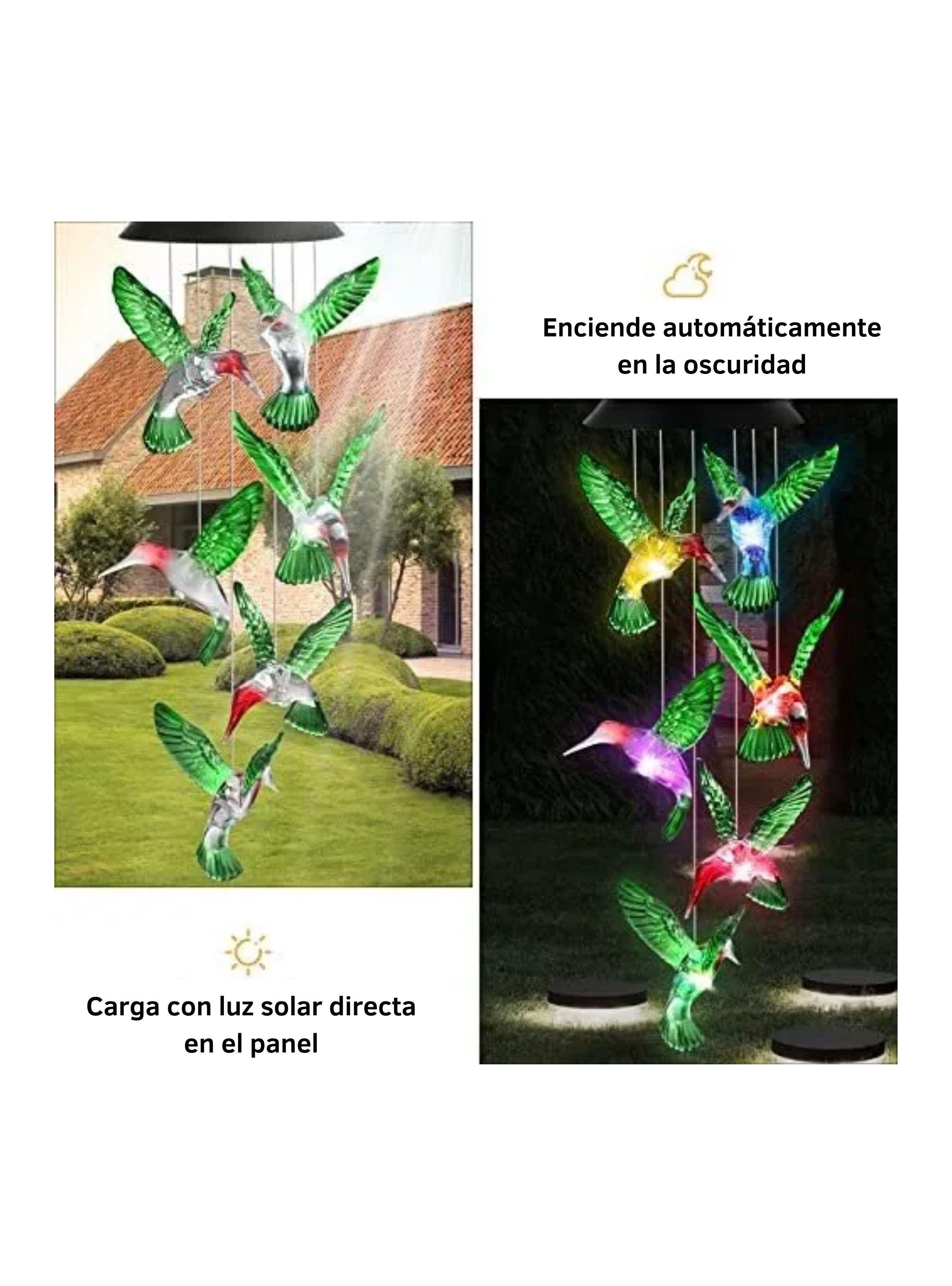 Colgante Solar Colibrí Luz Multicolor Decorativo-2