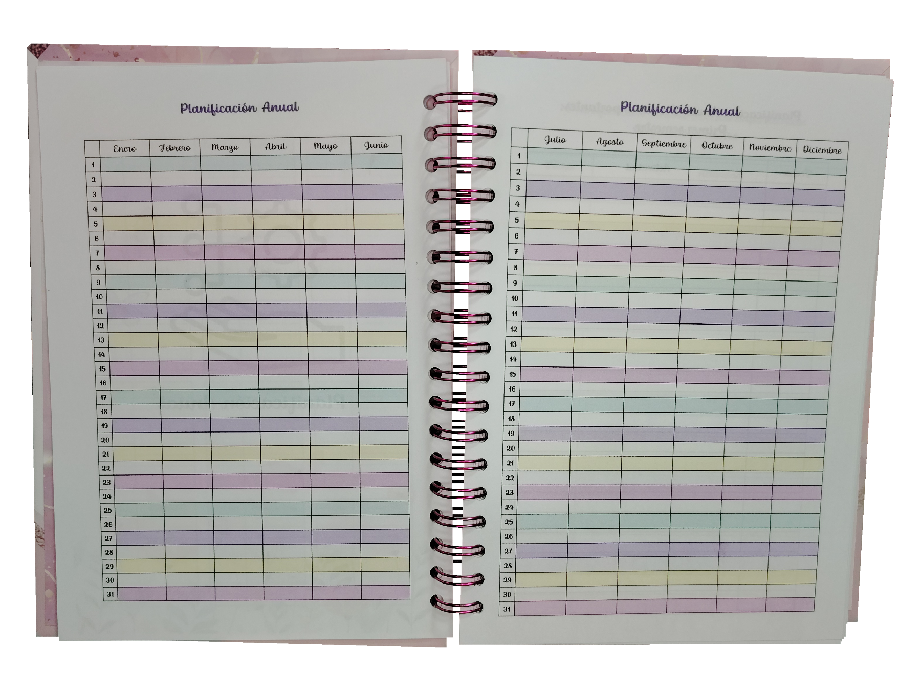 PLANNER AGENDA ROSA 2025-2