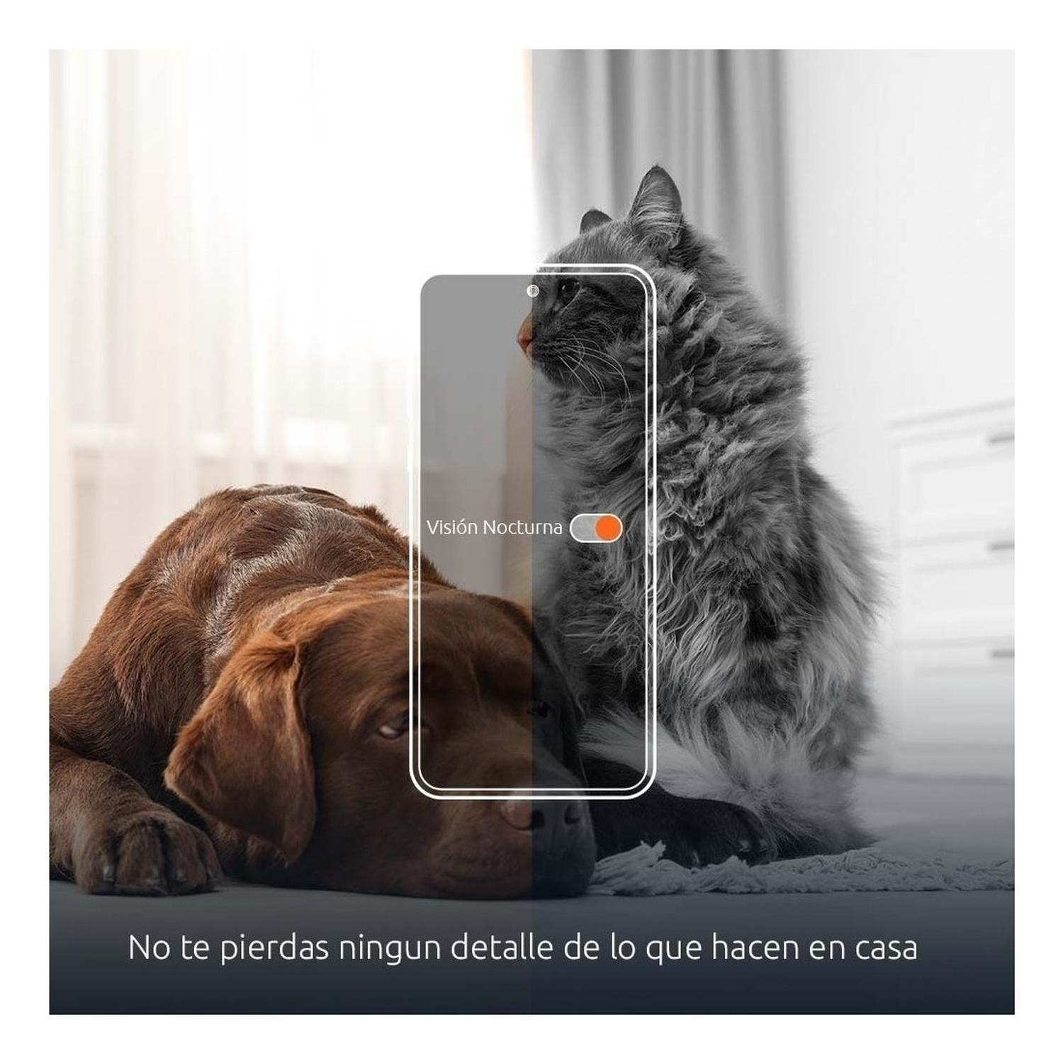 Comedero Para Mascotas Automático Interactivo Camara Nexxt-5