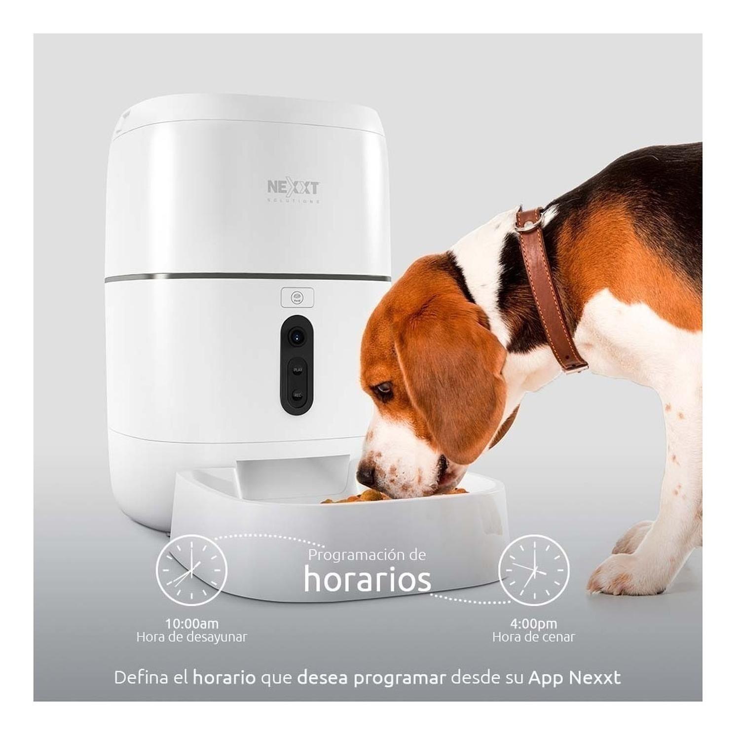 Comedero Para Mascotas Automático Interactivo Camara Nexxt-6