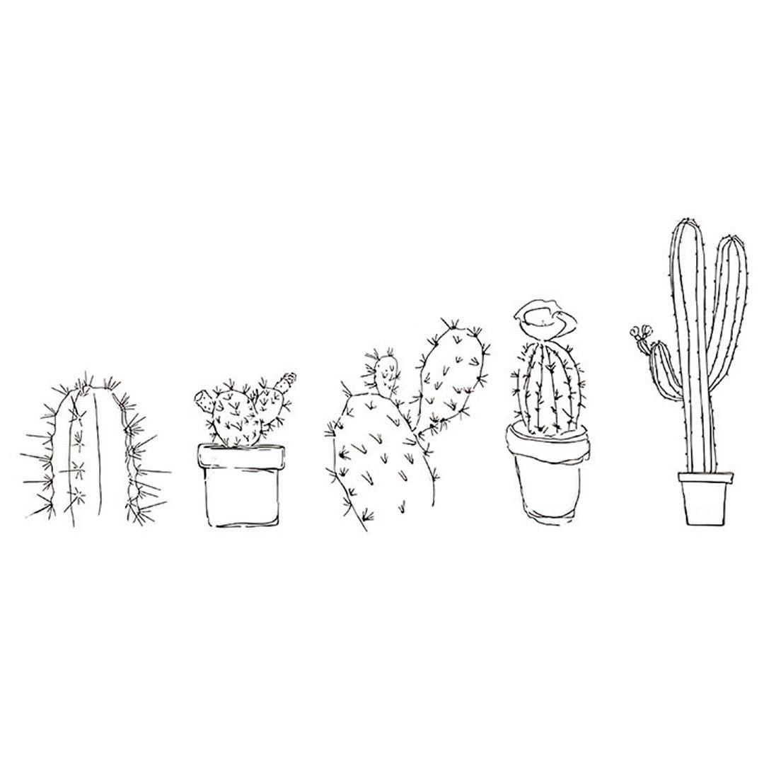 Timbre Adix Diseño Cactus Party 5ud-2