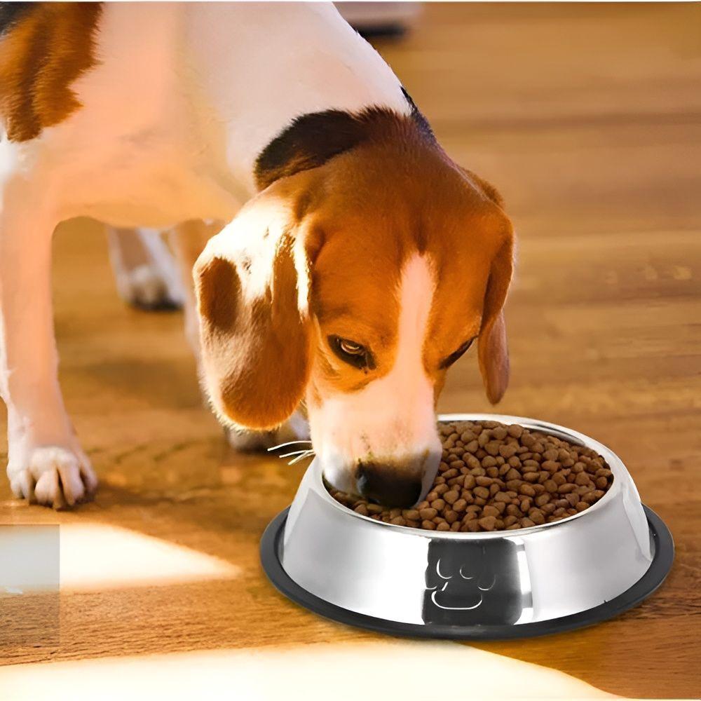 Comedero Platos Para Perros Gatos Mascotas 22 cm-4