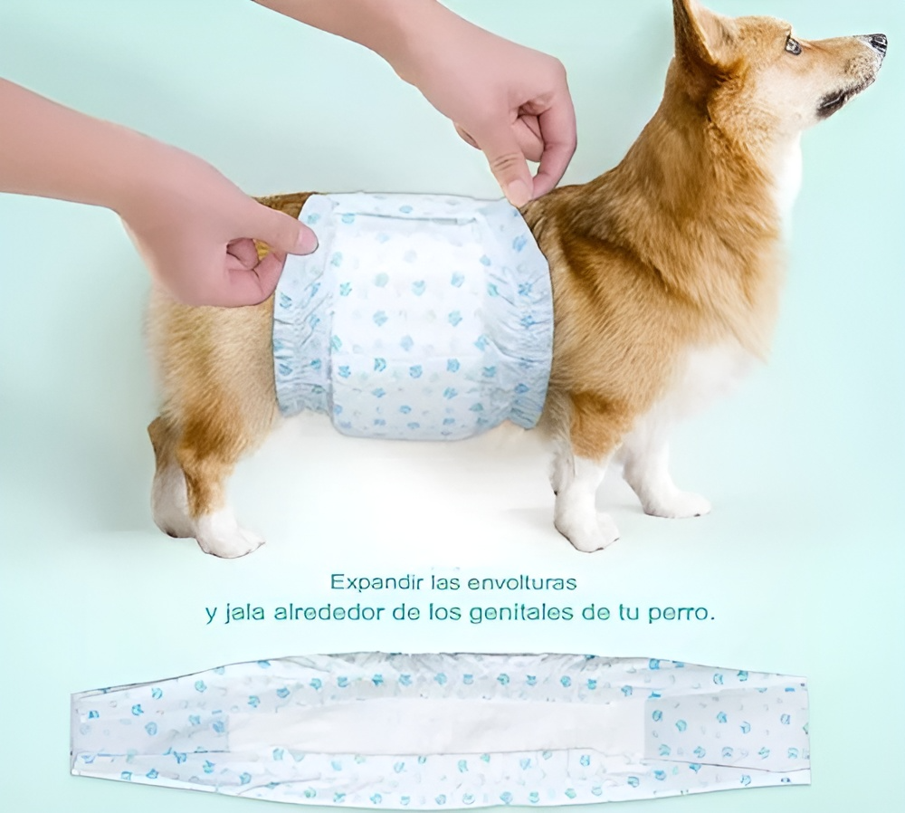36 Pañales Para Perros Pañales Para Perro Pañales Gato S-5