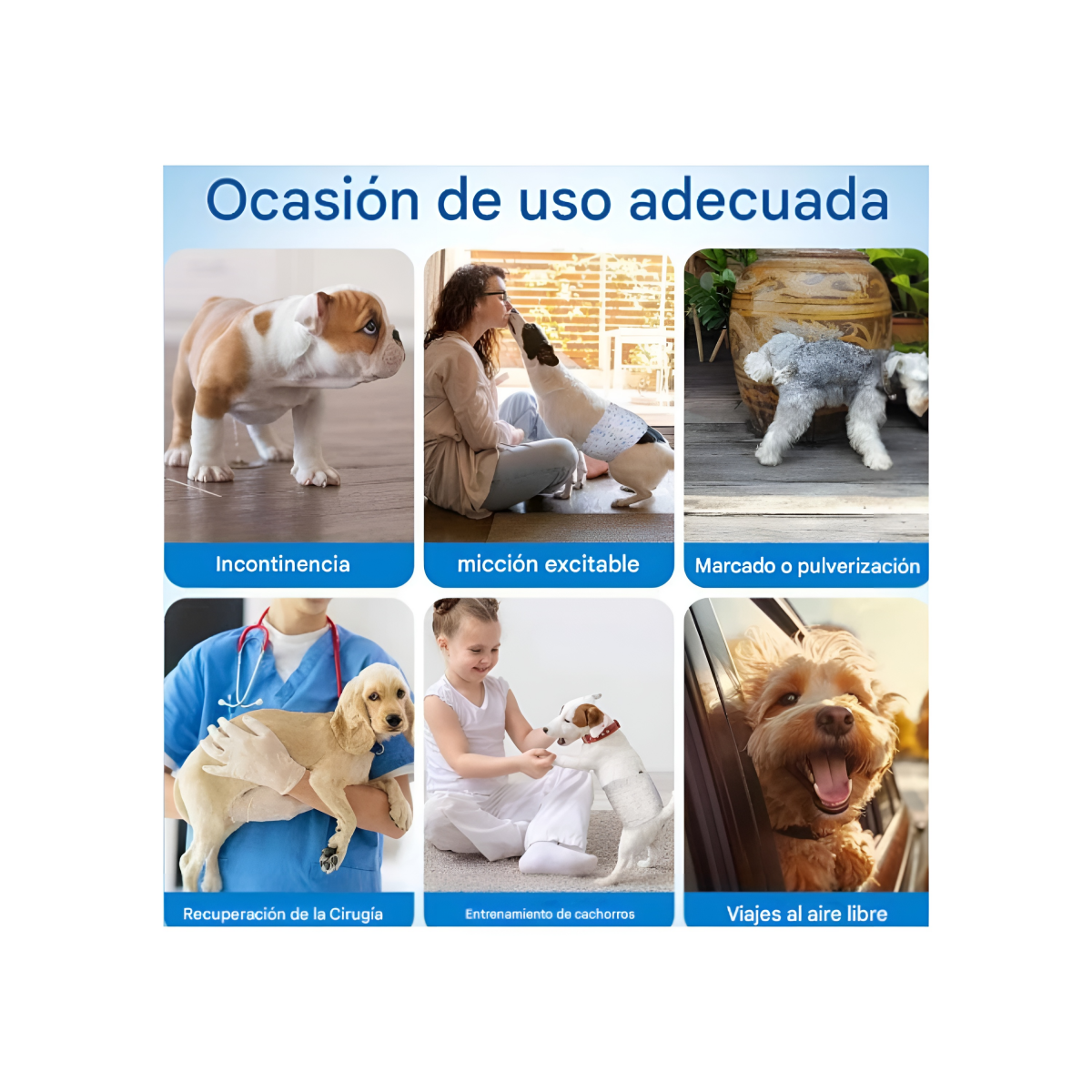 36 Pañales Para Perros Pañales Para Perro Pañales Gato S-7