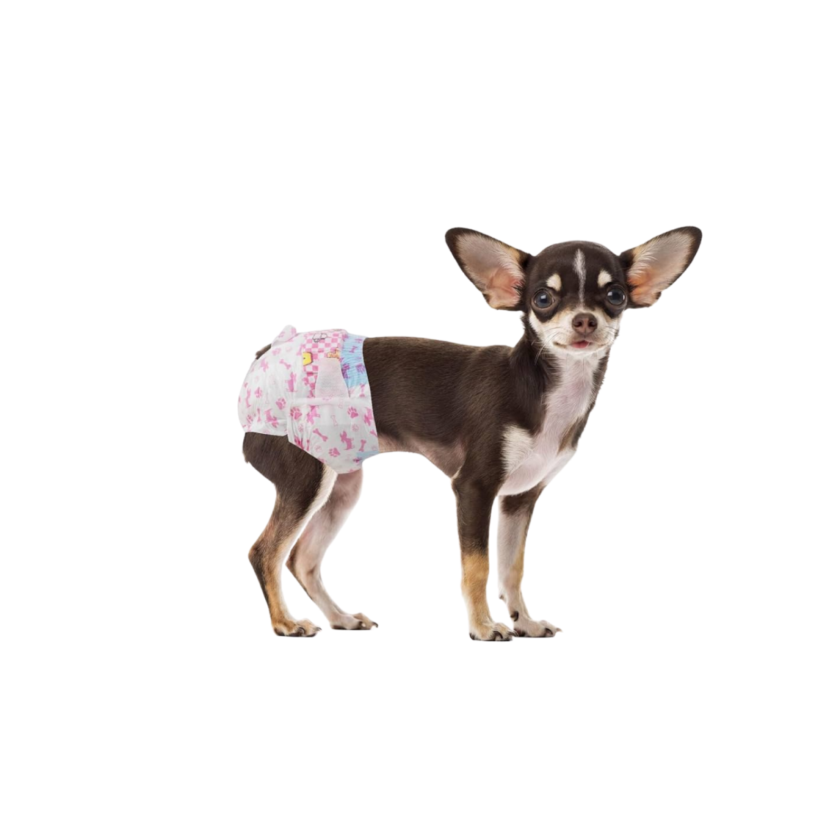 X30 Pañales Para Perros Pañales Para Perro Pañales Gato S-0