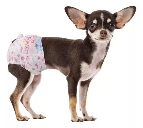 X20 Pañales Para Perros Pañales Para Perro Pañales Gato S-0