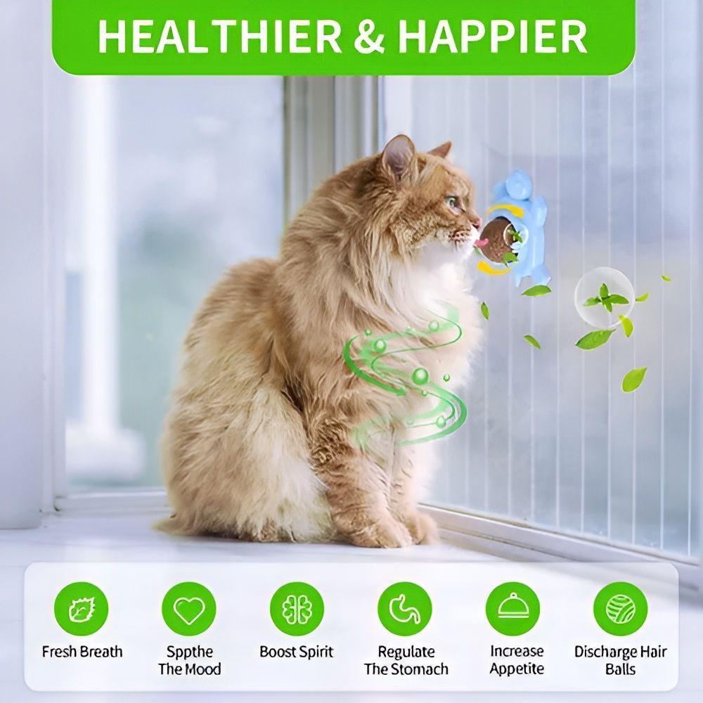 Bola Hierba Gatera Catnip Snack Para Gatos Bola Ad-4