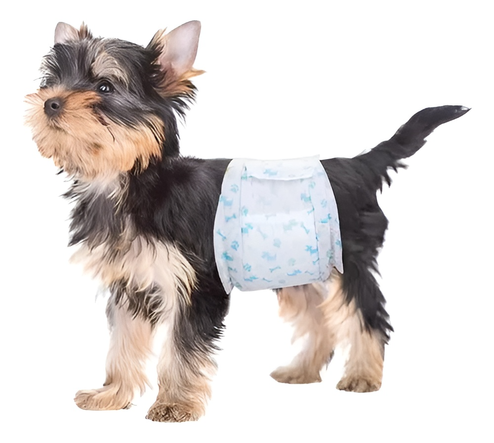 24 Pañales Para Perros Pañales Para Perro Pañales Gato Xl-5
