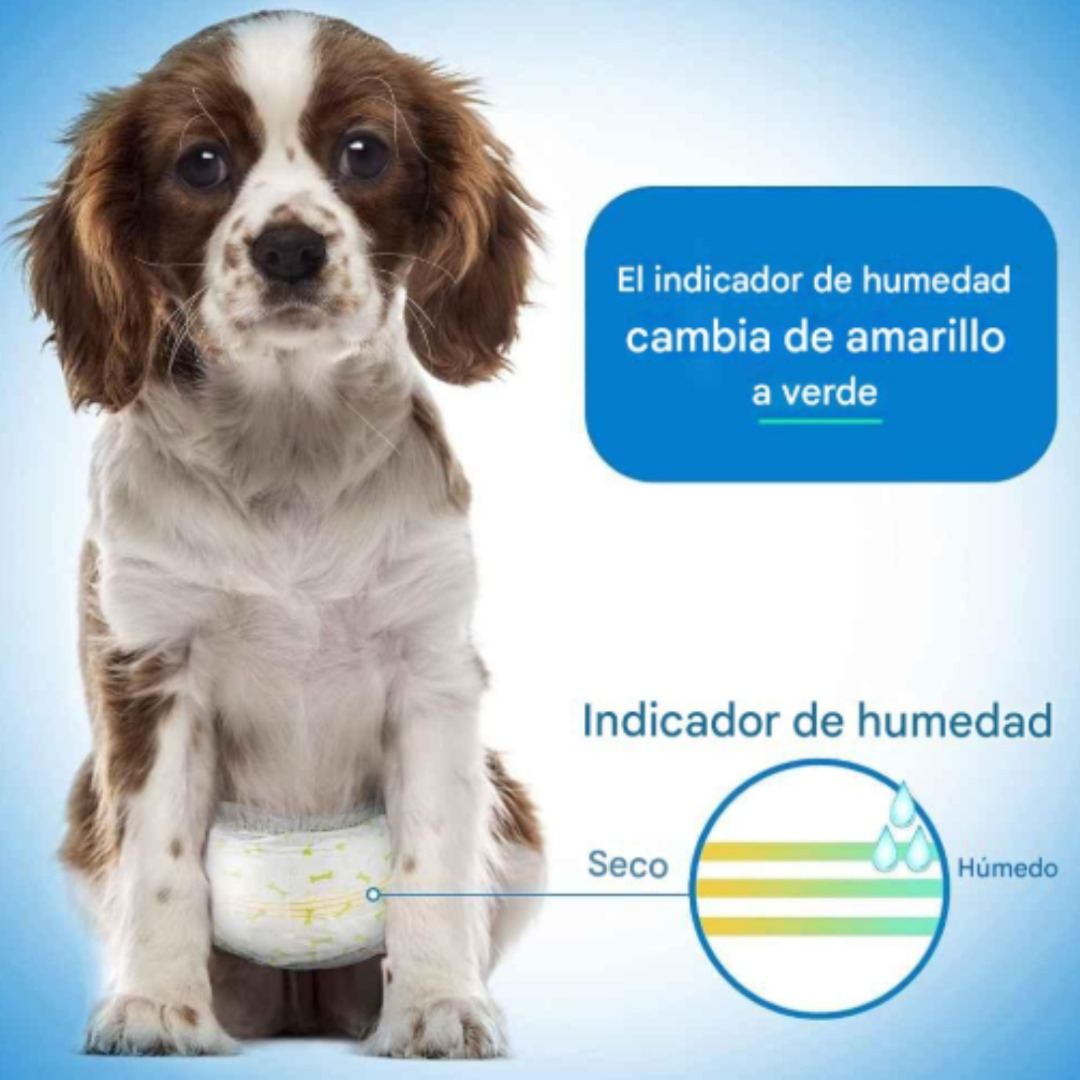 24 Pañales Para Perros Pañales Para Perro Pañales Gato Xl-6