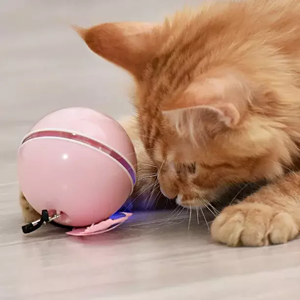 Pelota Inteligente Juguete Para Gato Interactivo Automatico-1