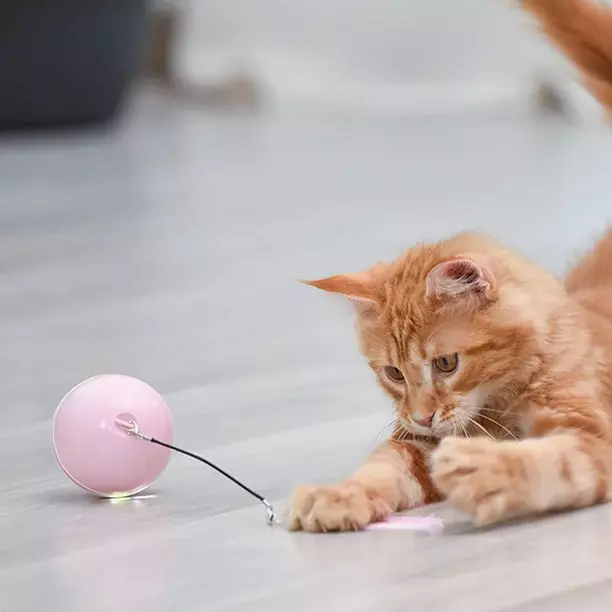 Pelota Inteligente Juguete Para Gato Interactivo Automatico-5