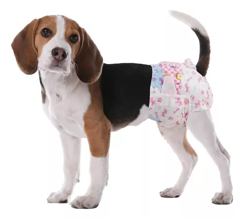 X20 Pañales Para Perros Pañales Para Perro Pañales Gato M-0
