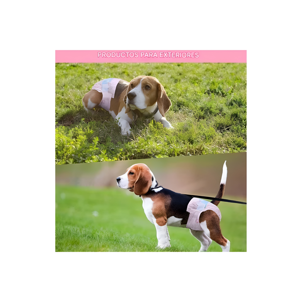 X20 Pañales Para Perros Pañales Para Perro Pañales Gato M-6