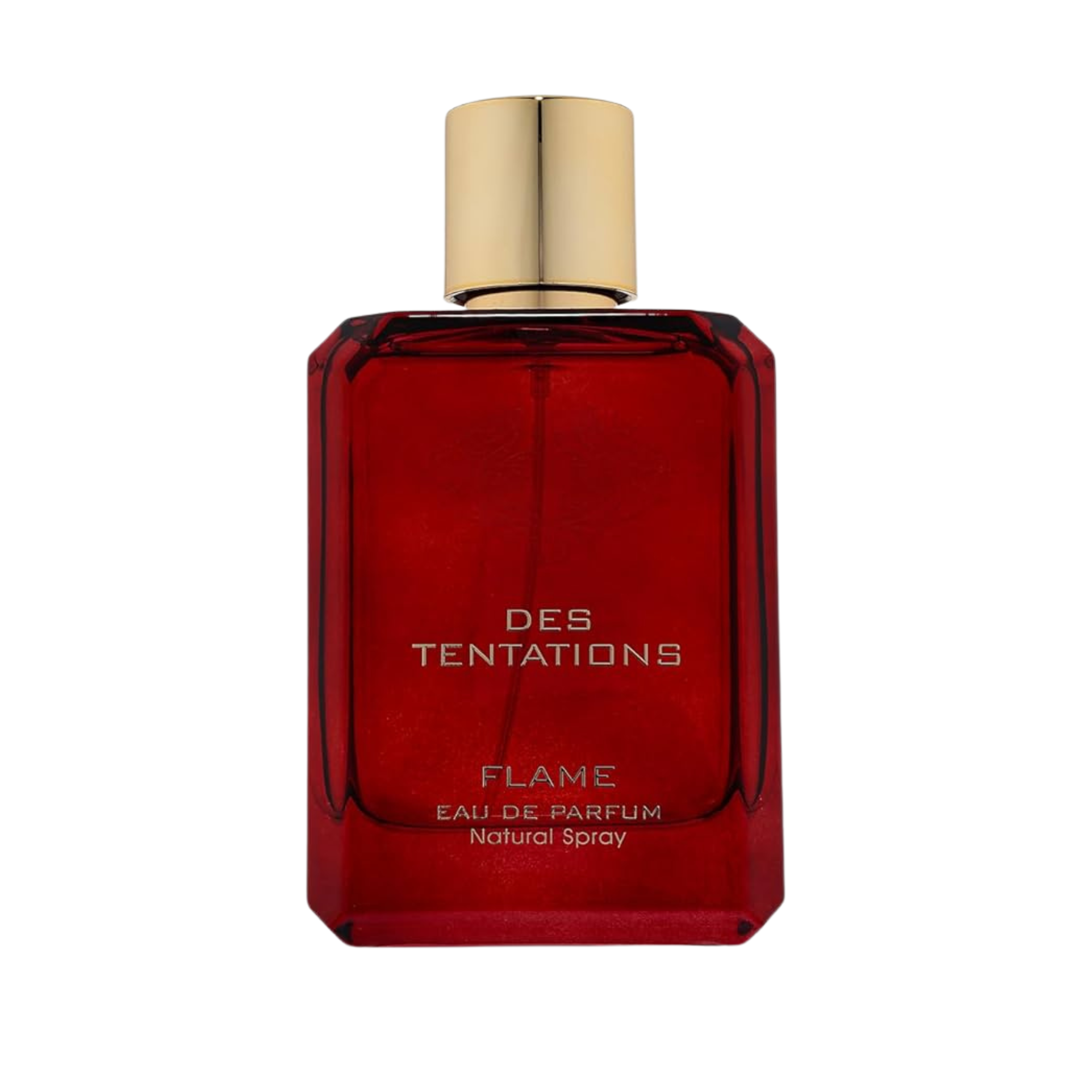 Des Tentations Flame Fragrance World Edp 100ML Hombre-0