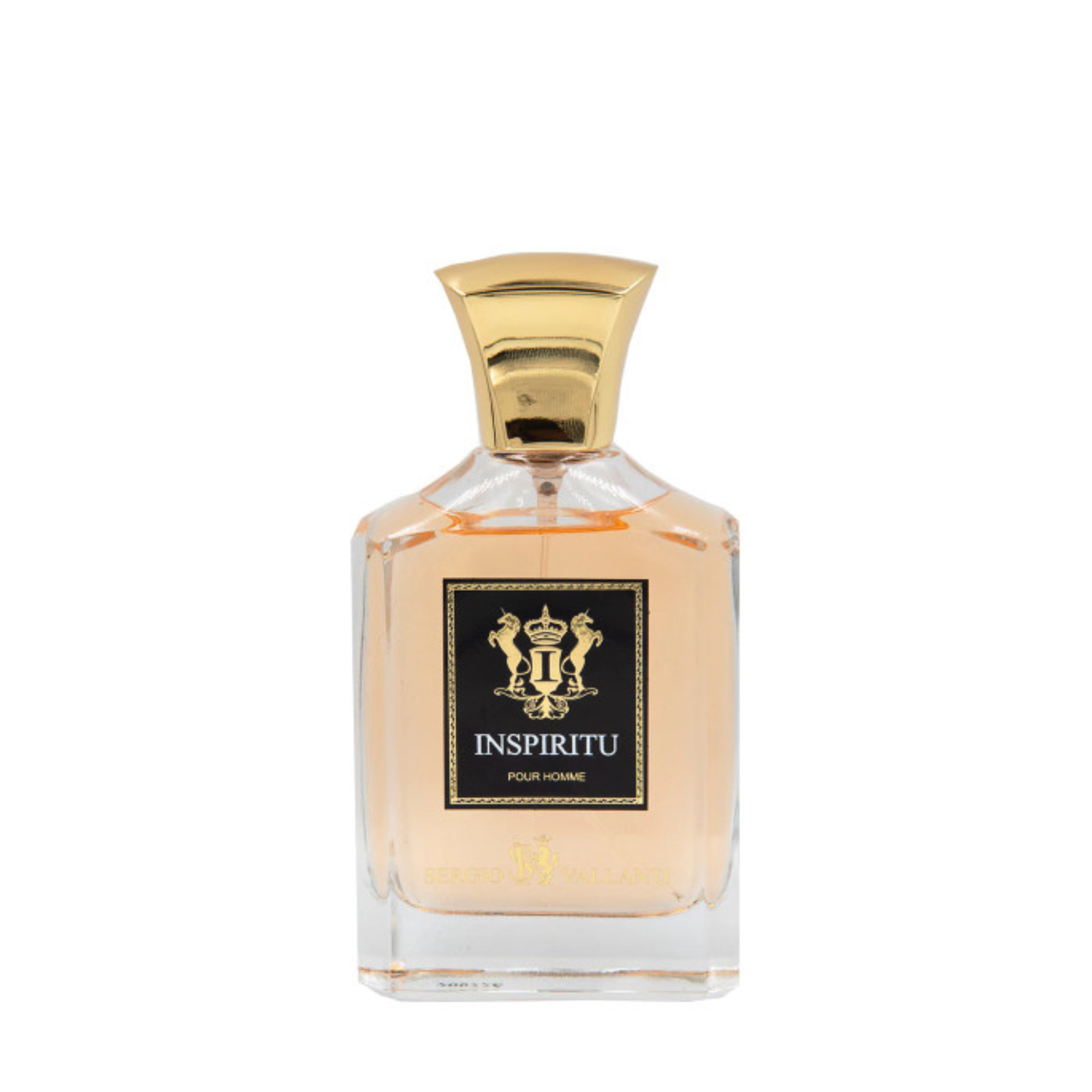 Perfume Inspiritu Pour Homme EDP 100ml-1