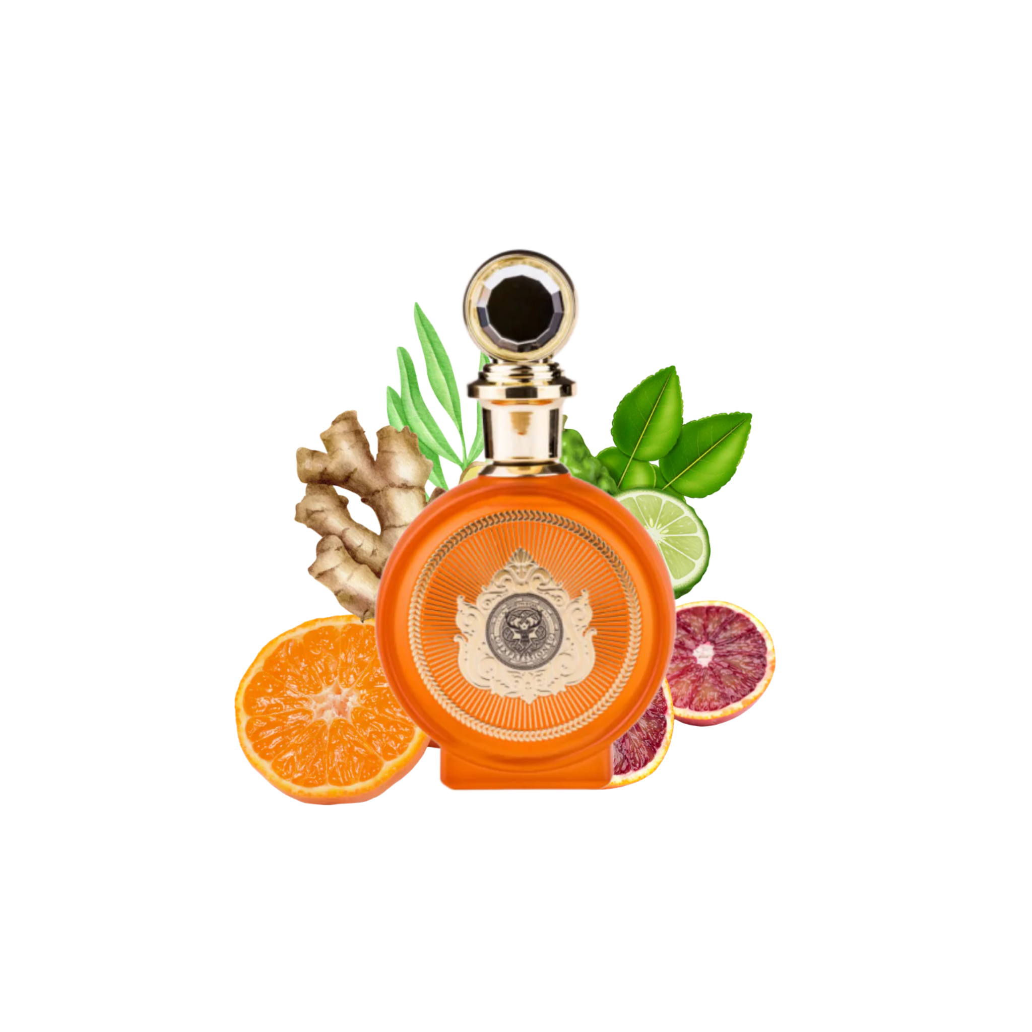 North Stag Expressions IV Quatre Paris Corner Edp 100Ml Unisex-1