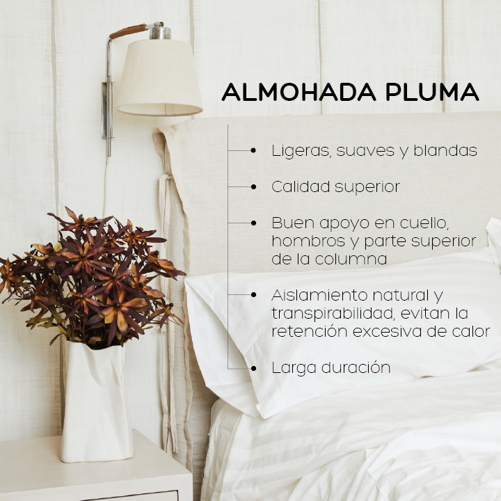 Almohada de Plumas 50 x 90 cm King Relan-5