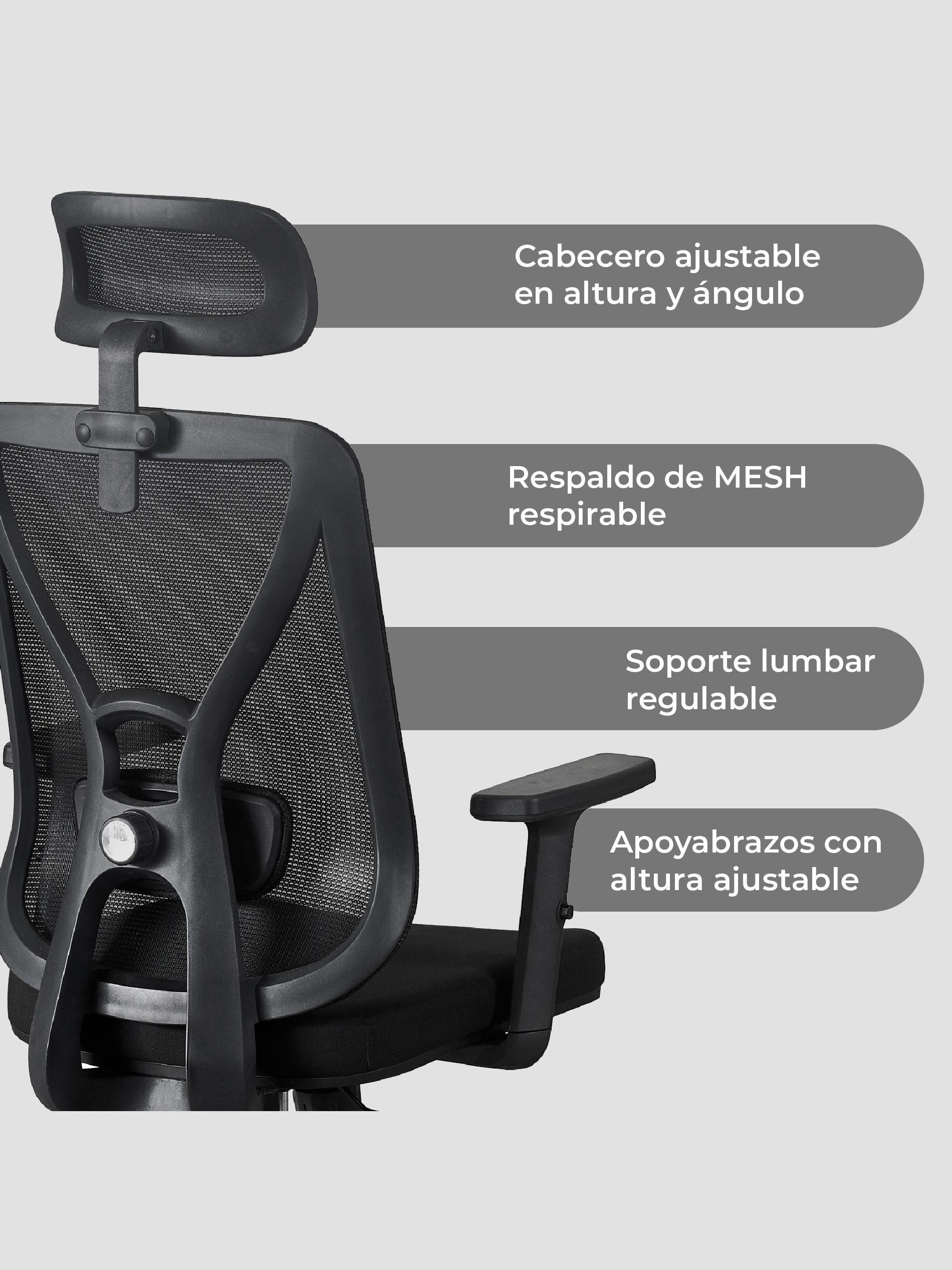 Silla de Escritorio Oficina Parma Ergonomus-2