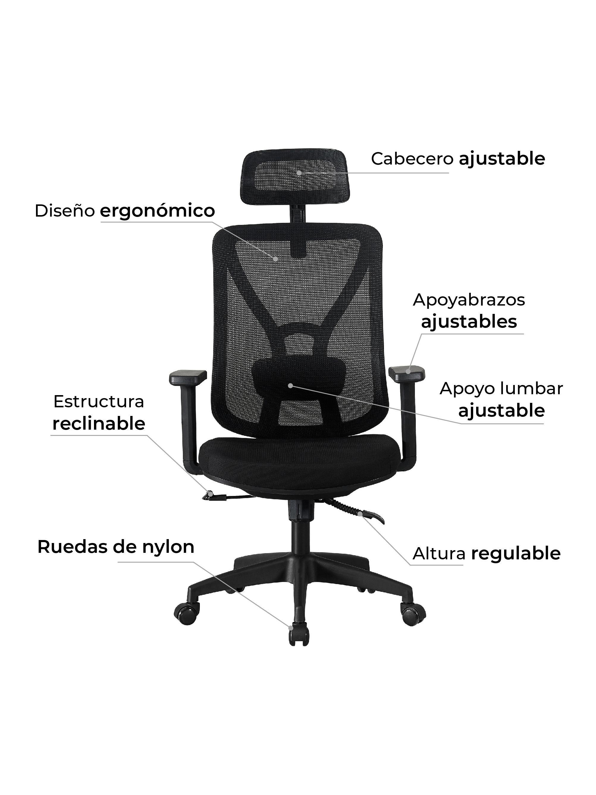 Silla de Escritorio Oficina Parma Ergonomus-4