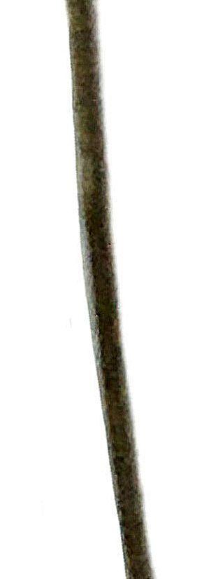Cadena plata de 925-1