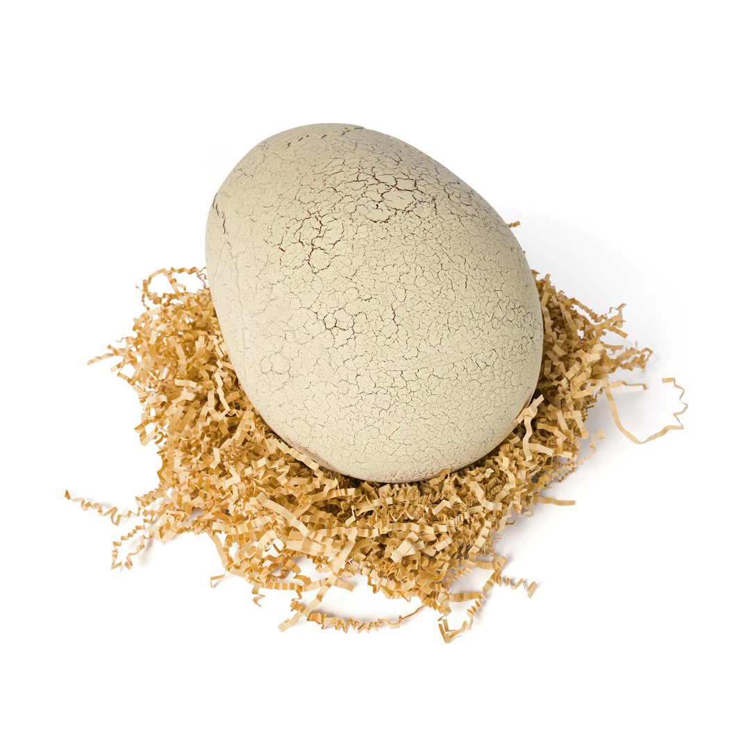 Figura De Dinosaurio T-Rex Eclosión Interactivo Jurassic-2