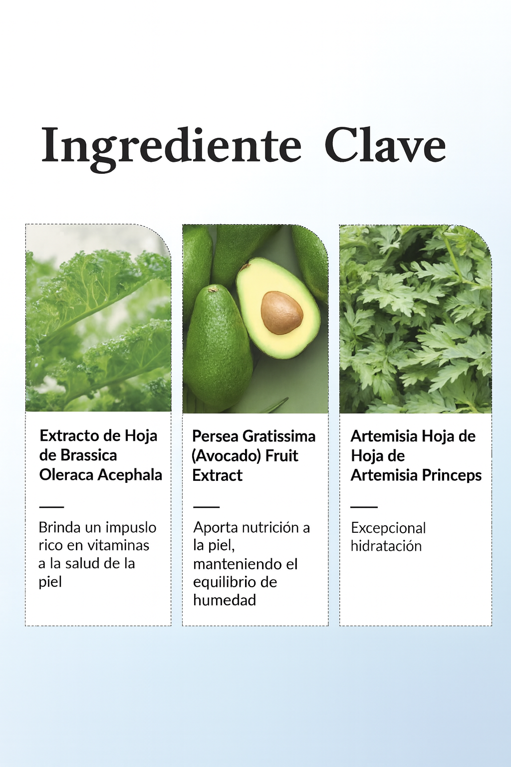 147 Barrier Cream (Dr Althea) -Crema hidratante y reparadora para pieles sensibles-6