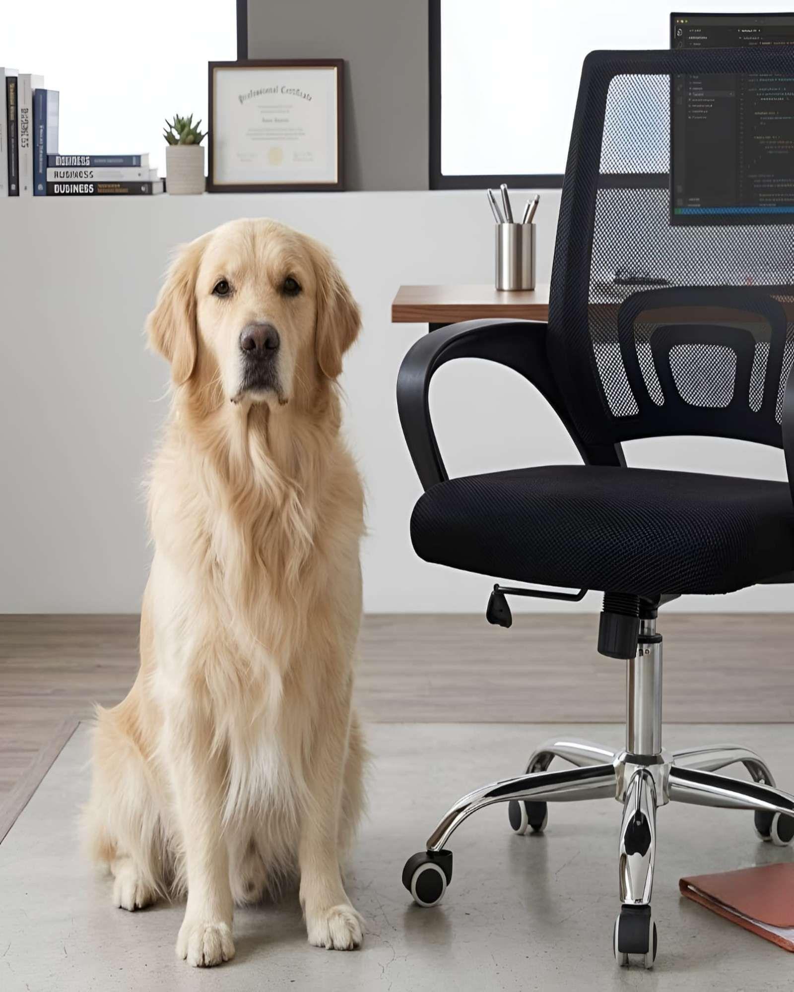Silla de Escritorio Ergónomica-2