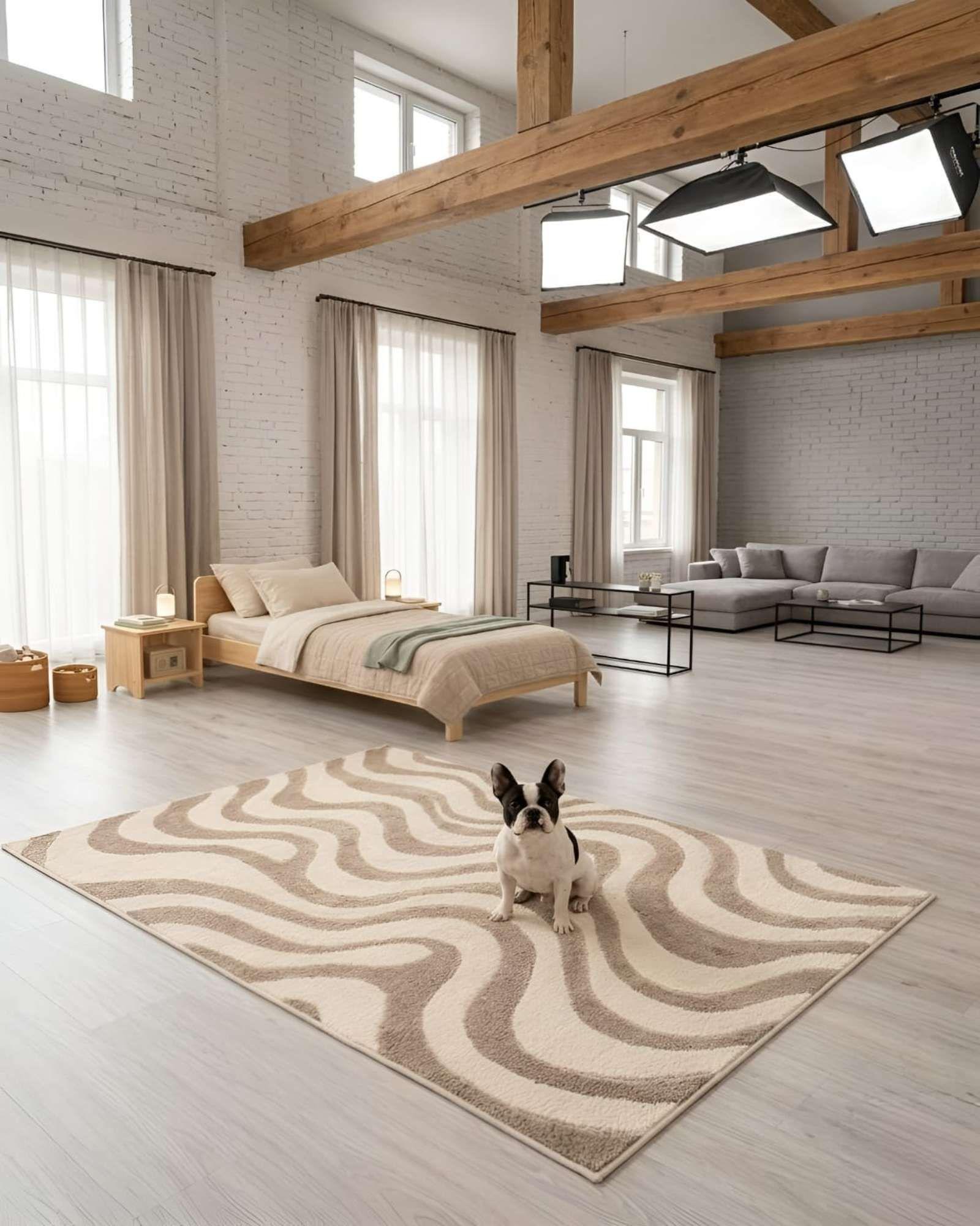 Alfombra Living y Dormitorio Decoración Para Hogar Minimalista 02-4