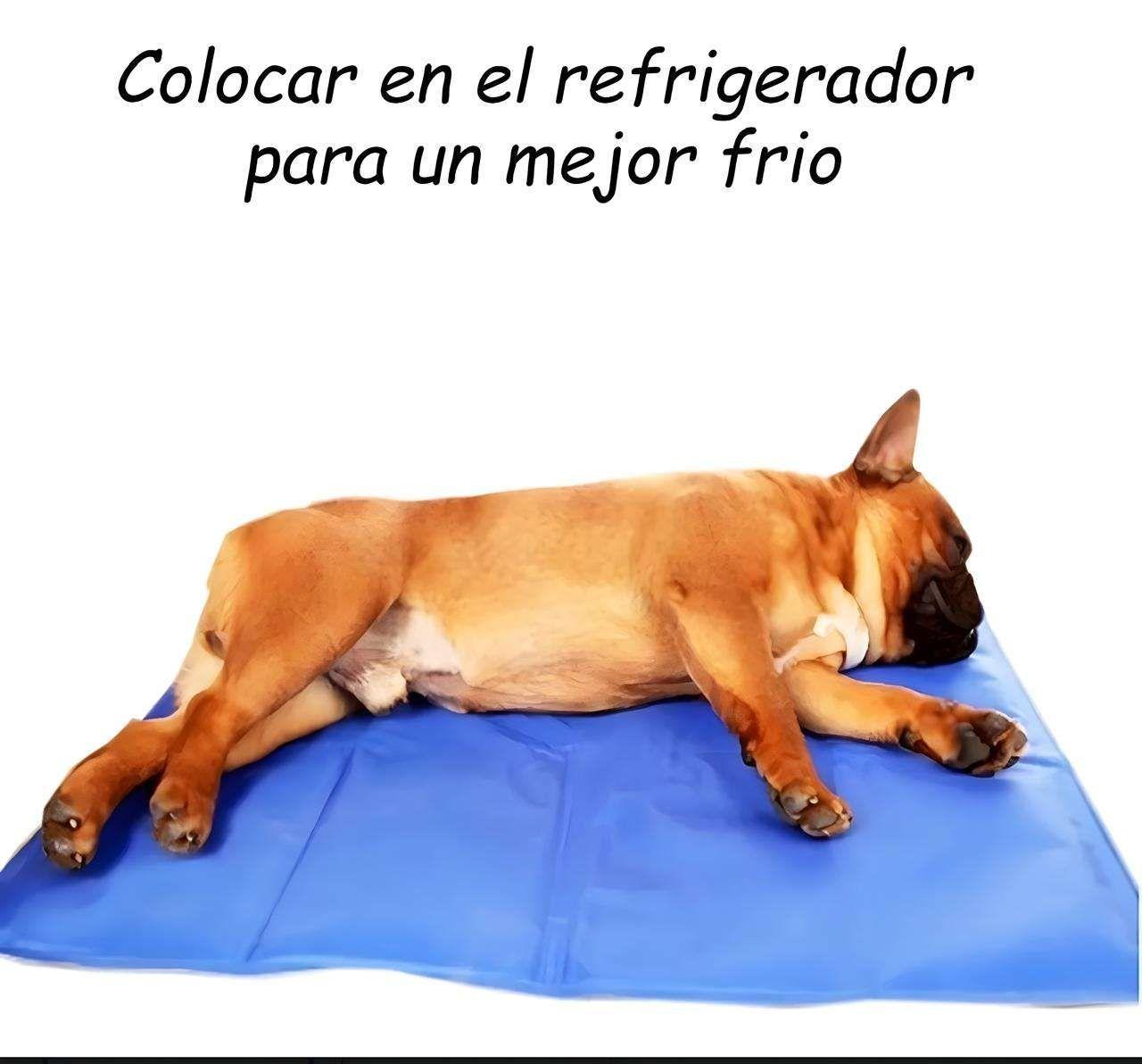 MANTA REFRESCANTE PARA PERROS Y GATOS TALLA L 90X50 CM-1