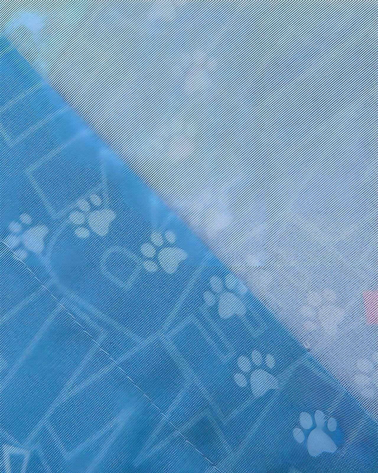 Juego Sábanass infantil Zootopia plaza y media Mashini -2