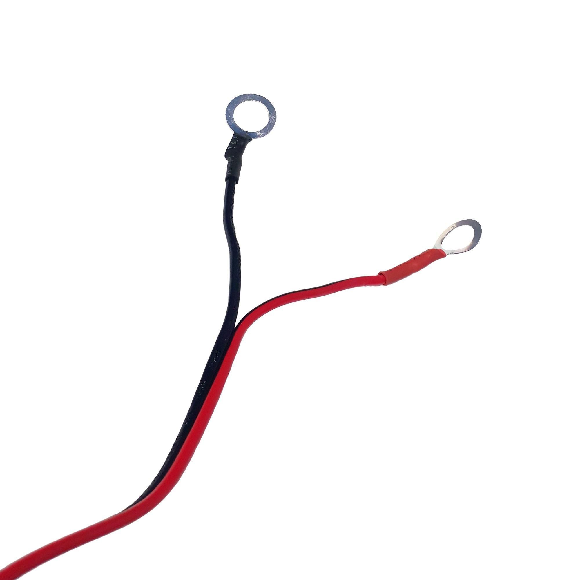 Mantenedor Bateria 6v-12v-2