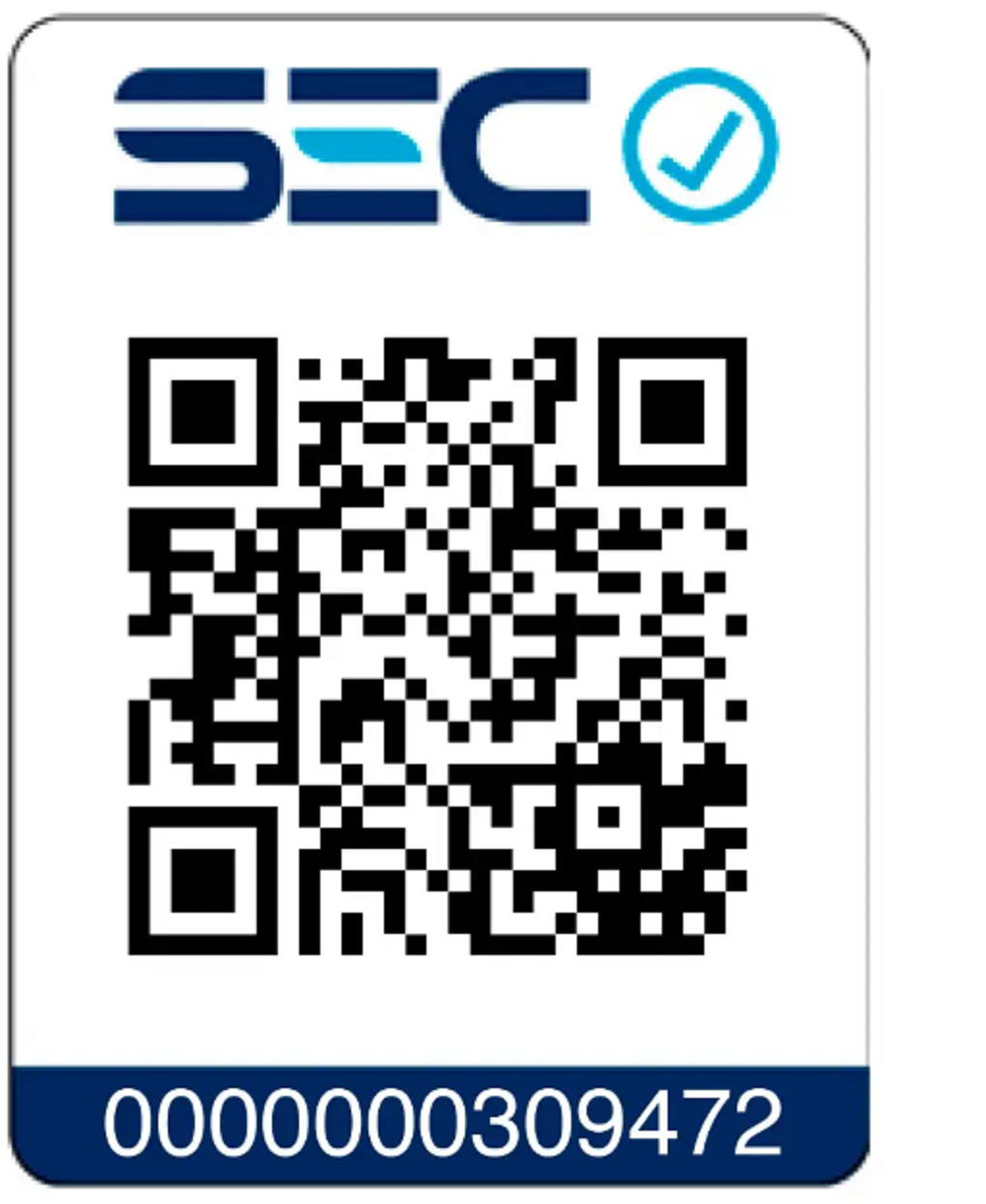 Secador Signature Silver SIEGEN SG 3025S-4