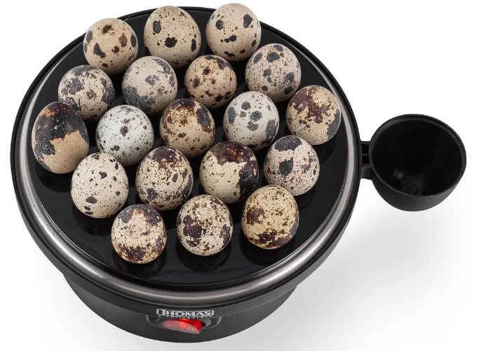 Cocedor de Huevos THOMAS TH-80-6
