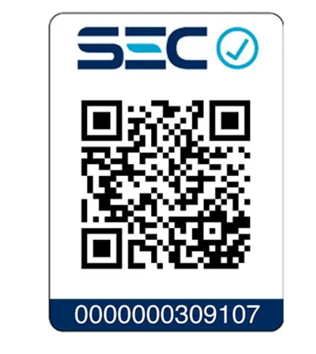 Alisador Instant Shine SIEGEN SG-4751-7